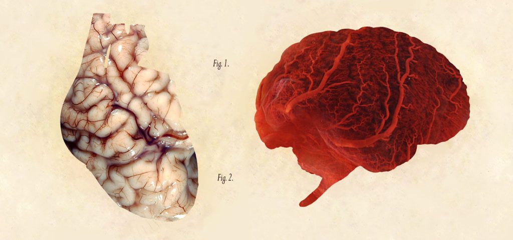 La mente-cuore, la disponibilità vs l'evitamento in relazione allo stress e alla malattia - Mindfulness Sardegna