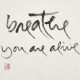 Uscendo da un ritiro - Corrado Pensa - Mindfulness Sardegna