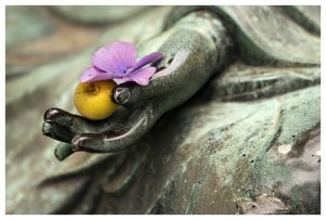 L'impermanenza - Thich Nhat Hanh - Mindfulness Sardegna