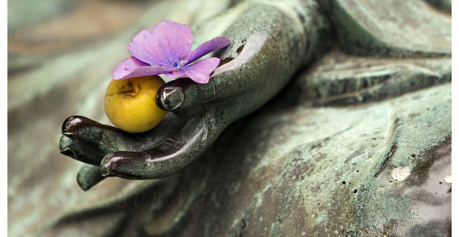L'impermanenza - Thich Nhat Hanh - Mindfulness Sardegna