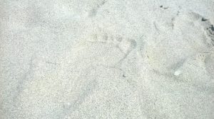 Non cercare di diventare qualcosa - Ajanh Chah - Mindfulness Sardegna