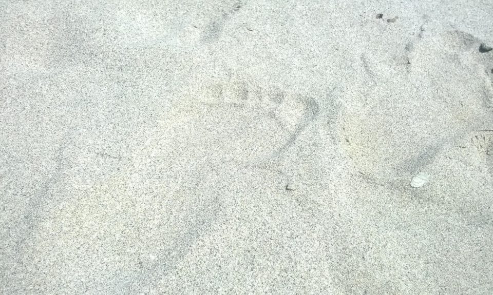 Non cercare di diventare qualcosa - Ajanh Chah - Mindfulness Sardegna