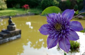 Lezioni dall'impermanenza - Mindfulness Sardegna