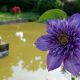 Lezioni dall'impermanenza - Mindfulness Sardegna