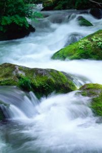 fiume lasciar essere