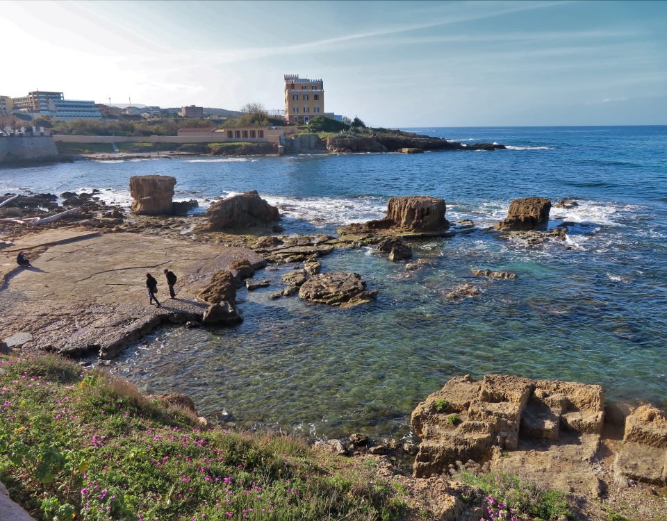 Meraviglia è - Mindfulness Sardegna