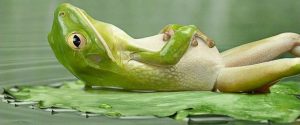 Rendere la vita consapevole - Mindfulness informale - Mindfulness Sardegna
