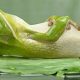 Rendere la vita consapevole - Mindfulness informale - Mindfulness Sardegna