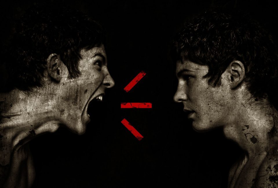 Il sistema della collera. Violenza o saggezza? - Mindfulness Sardegna