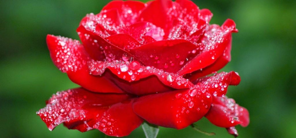 Amore come possibilità - Mindfulness Sardegna