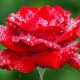 Amore come possibilità - Mindfulness Sardegna
