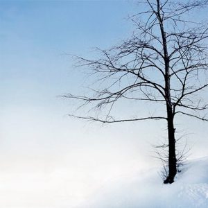 Per Persone - Mindfulness Sardegna