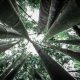I 7 pilastri della mindfulness - Mindfulness Sardegna