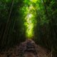 Mindfulness Sardegna - corsi mindfulness come scegliere