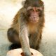 Mindfulness Sardegna - Settimo pilastro - Non attaccamento