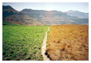 Dalla morte all'amore - Mindfulness Sardegna