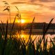 Mindfulness Sardegna - Come mi sono innamorato della meditazione (piccola parte)
