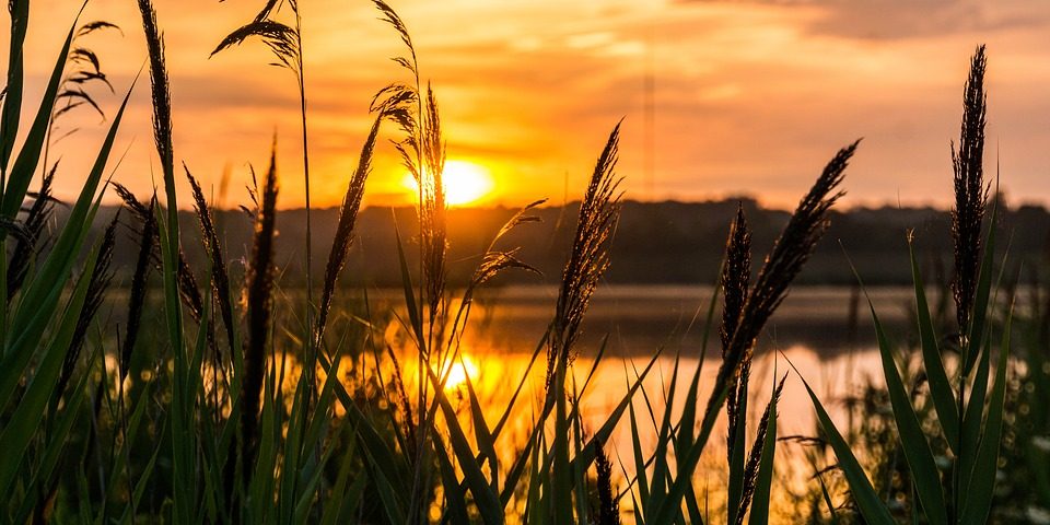 Mindfulness Sardegna - Come mi sono innamorato della meditazione (piccola parte)