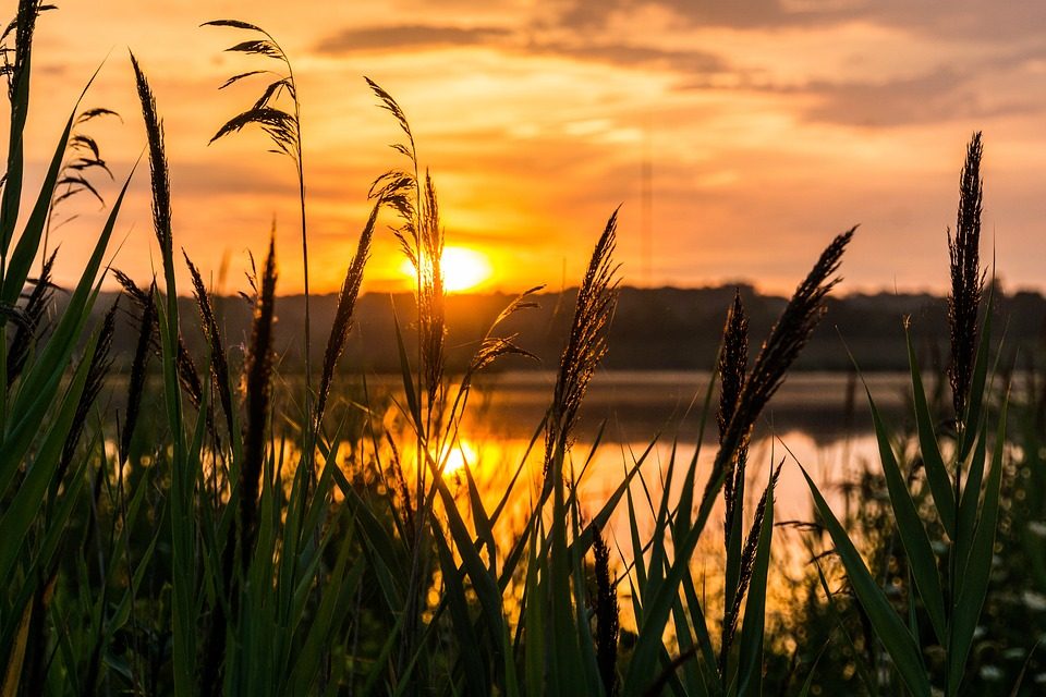 Mindfulness Sardegna - Come mi sono innamorato della meditazione (piccola parte)