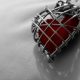 Cuore chiuso - Il blocco psicosomatico collettivo del cuore - Mindfulness Sardegna