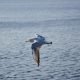 Come mi sono innamorato della meditazione (terza parte) - Mindfulness Sardegna