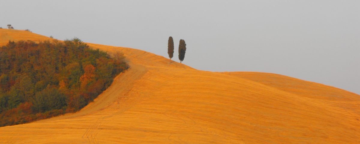 La meditazione è delizia - Mindfulness Sardegna