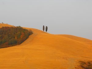 La meditazione è delizia - Mindfulness Sardegna
