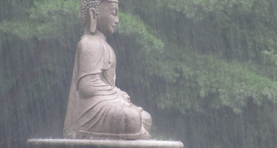 Usi l'esercizio RAIN? Una nuova pratica mindfulness - Mindfulness Sardegna