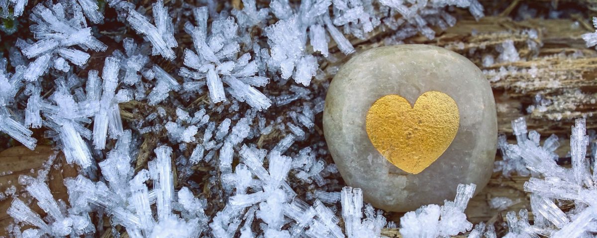 MBSR e malattie cardiovascolari - La cura della meditazione - Mindfulness Sardegna