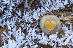 MBSR e malattie cardiovascolari - La cura della meditazione - Mindfulness Sardegna