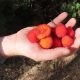 Vicini - James Crews - Mindfulness Sardegna