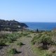 La pace è questo momento senza giudizio - Dorothy Hunt - Mindfulness Sardegna