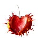 Continua a guardare la ferita - Mindfulness Sardegna