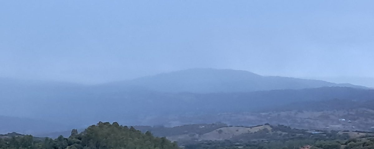 Vedere attraverso la nebbia - Mindfulness Sardegna
