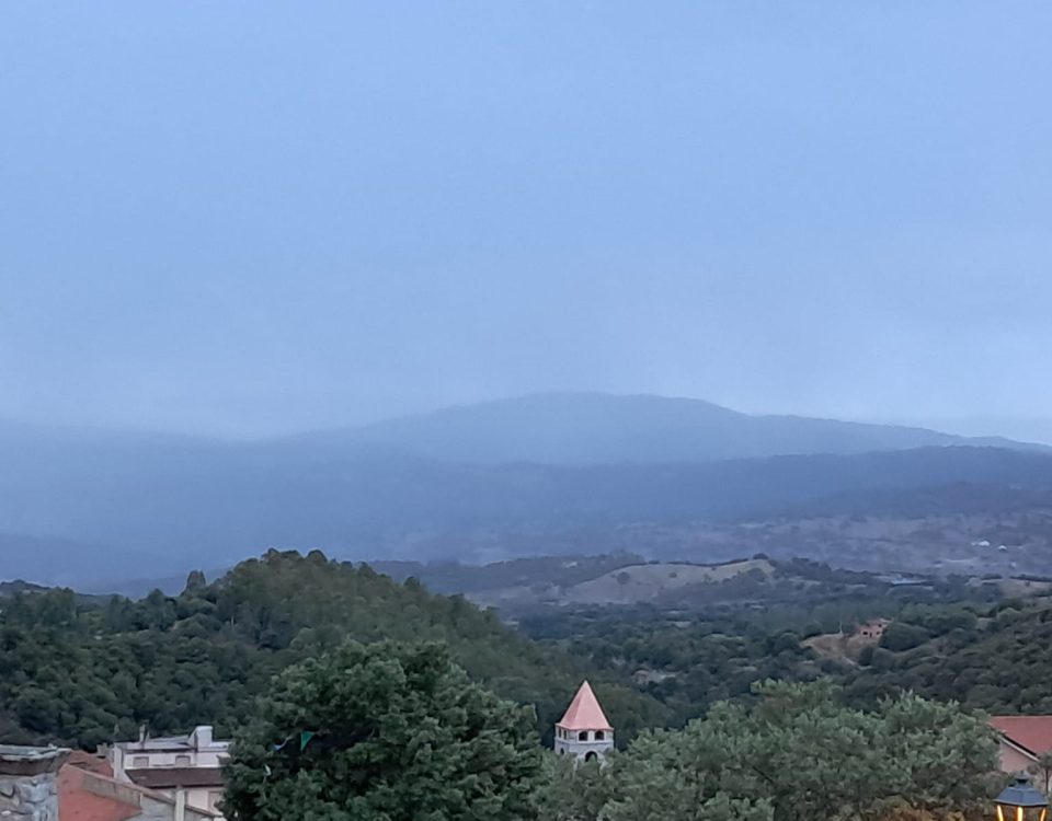 Vedere attraverso la nebbia - Mindfulness Sardegna